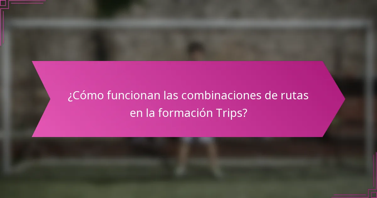 ¿Cómo funcionan las combinaciones de rutas en la formación Trips?