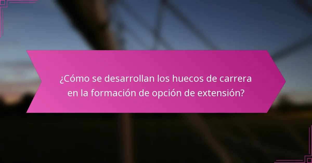 ¿Cómo se desarrollan los huecos de carrera en la formación de opción de extensión?