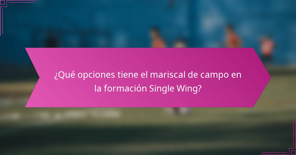 ¿Qué opciones tiene el mariscal de campo en la formación Single Wing?